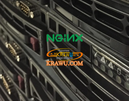 nginx web server 415x325 » Ini Dia Kelebihan Menggunakan Web Server Nginx
