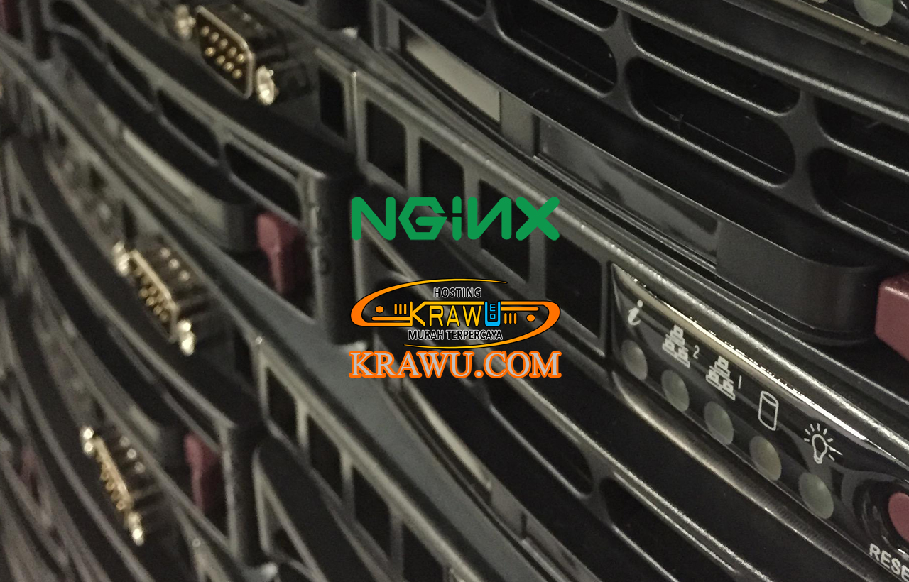 nginx web server » Ini Dia Kelebihan Menggunakan Shared Hosting Murah