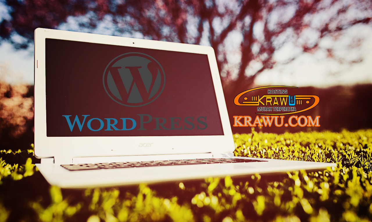 platform cms wordpress untuk situs dan blog anda » Inilah Ragam Pilihan Plugin Wordpress Penunjang SEO untuk Blog Anda