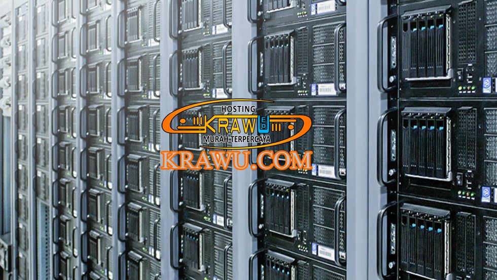 perbandingan provider hosting indonesia vs luar negeri » Pengertian dan Fungsi Web Hosting